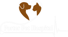 Porter Pet Hospital
